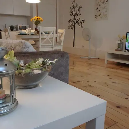 Kimia Casa - *